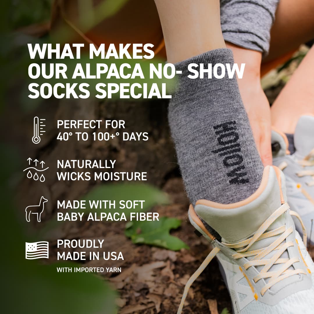 No Show Bundle - Image 4